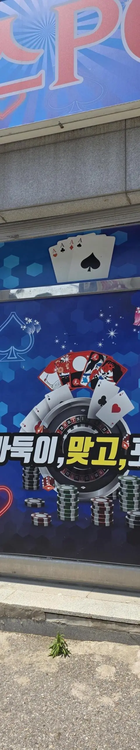 경기광주 초월읍 성인PC방 팝니다 - 광주 PC방 매물